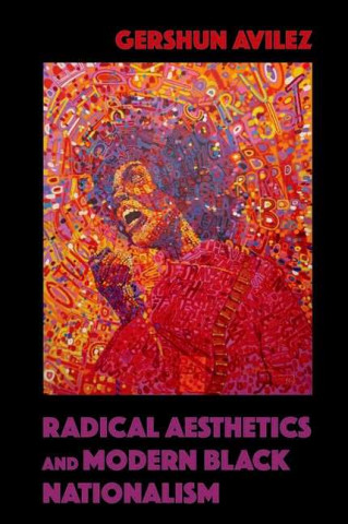 Kniha Radical Aesthetics and Modern Black Nationalism GerShun Avilez