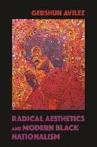 Książka Radical Aesthetics and Modern Black Nationalism GerShun Avilez