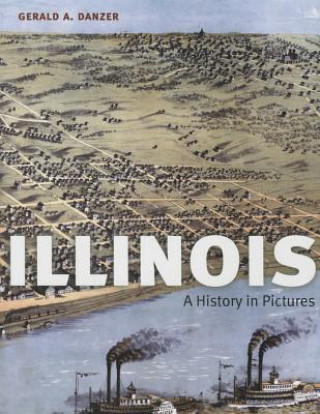 Buch Illinois Gerald A. Danzer