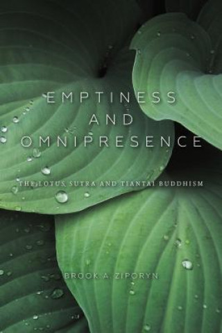 Kniha Emptiness and Omnipresence Brook A. Ziporyn