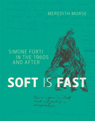 Kniha Soft Is Fast Meredith Morse