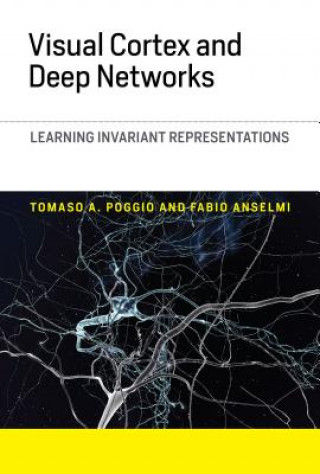 Livre Visual Cortex and Deep Networks Tomaso A. Poggio