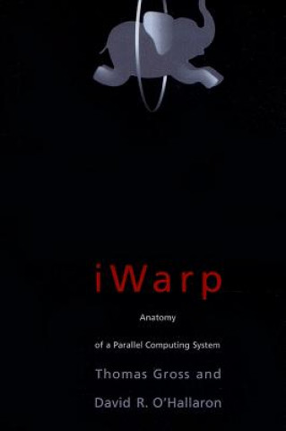 Könyv iWARP Thomas Gross