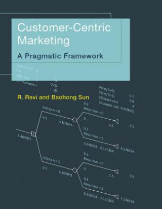 Kniha Customer-Centric Marketing R. Ravi