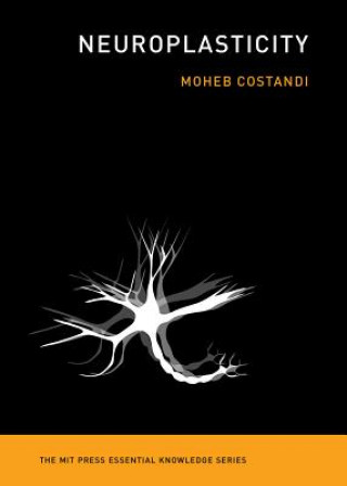 Kniha Neuroplasticity Moheb Costandi
