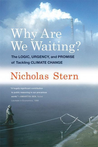 Könyv Why Are We Waiting? Nicholas Stern