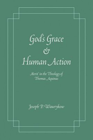 Kniha God's Grace and Human Action Joseph P. Wawrykow