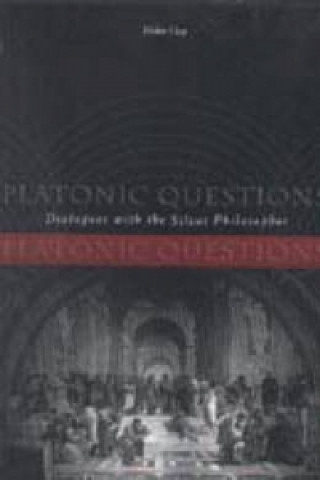 Book Platonic Questions Diskin Clay
