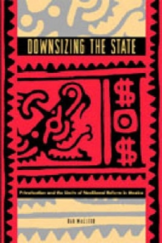 Könyv Downsizing the State Dag MacLeod