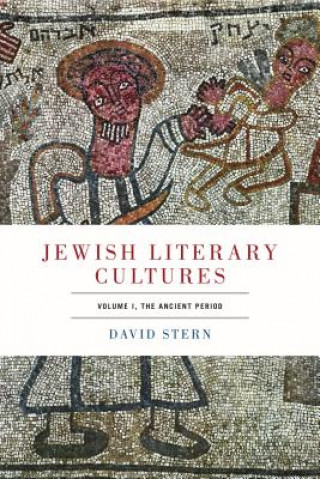Kniha Jewish Literary Cultures David Stern