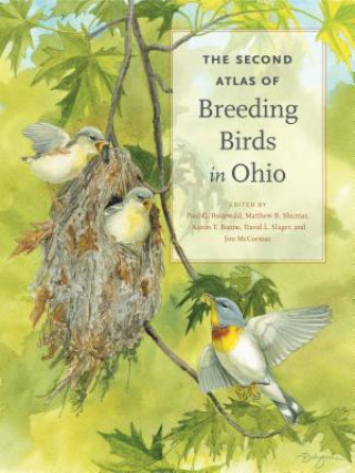 Kniha Second Atlas of Breeding Birds in Ohio Paul G. Rodewald