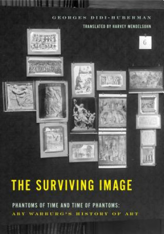 Könyv Surviving Image Georges Didi-Huberman