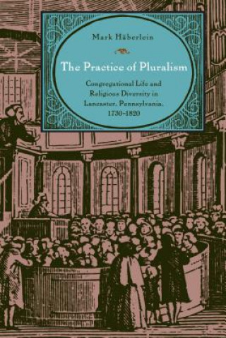 Książka Practice of Pluralism Mark Haberlein