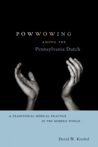 Kniha Powwowing Among the Pennsylvania Dutch David W. Kriebel