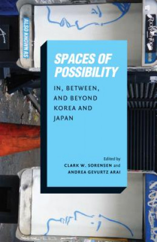 Книга Spaces of Possibility 