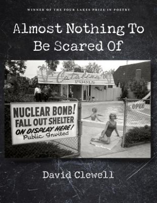 Book Almost Nothing to Be Scared Of David Clewell