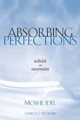 Książka Absorbing Perfections Moshe Idel