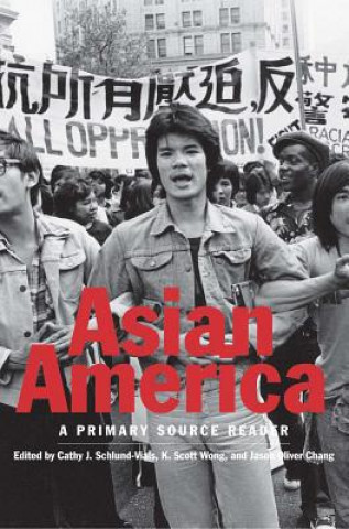 Carte Asian America Cathy J. Schlund-Vials