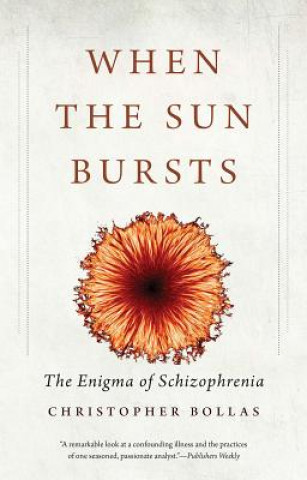 Knjiga When the Sun Bursts Christopher Bollas