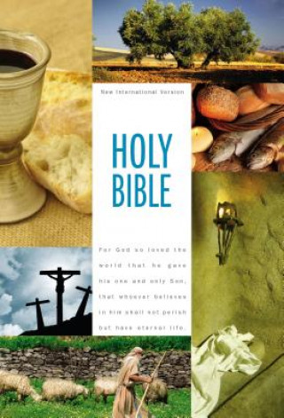 Könyv NIV, Holy Bible Textbook Edition, Hardcover Zondervan