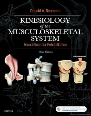 Könyv Kinesiology of the Musculoskeletal System Donald A. Neumann