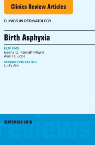 Kniha Birth Asphyxia, An Issue of Clinics in Perinatology Beena D. Kamath-Rayne