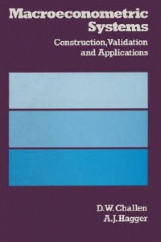 Buch Econometric Systems D W Challen