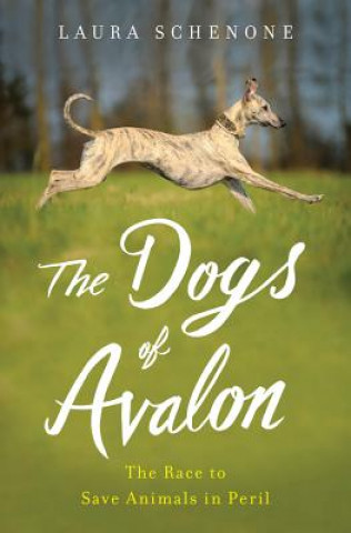 Knjiga Dogs of Avalon Laura Schenone