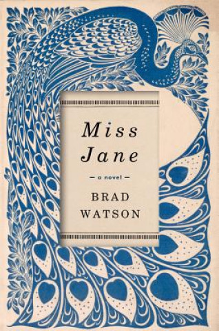 Kniha Miss Jane Brad Watson