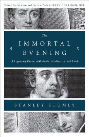 Książka Immortal Evening Stanley Plumly