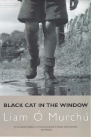 Книга Black Cat in the Window Liam O Murchu