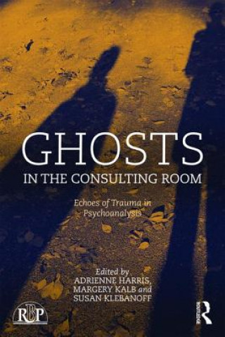 Kniha Ghosts in the Consulting Room 