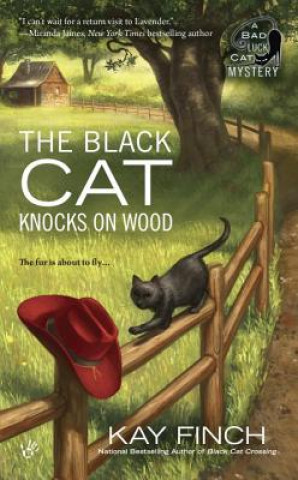 Kniha Black Cat Knocks On Wood Kay Finch