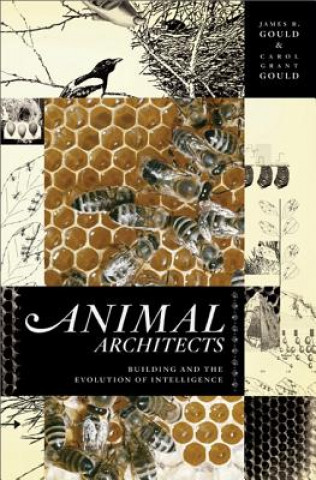 Könyv Animal Architects James L. Gould