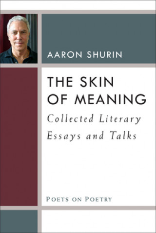 Libro Skin of Meaning Aaron Shurin