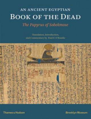 Kniha Ancient Egyptian Book of the Dead P. F. O'Rourke