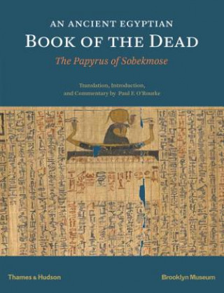 Knjiga Ancient Egyptian Book of the Dead P. F. O'Rourke