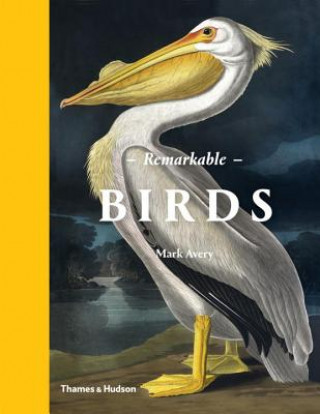 Könyv Remarkable Birds Mark Avery