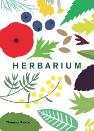 Kniha Herbarium Caz Hildebrand