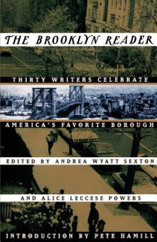 Knjiga Brooklyn Reader Alice Leccese Powers