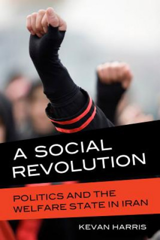 Knjiga Social Revolution Kevan Harris