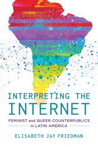 Buch Interpreting the Internet Elisabeth Jay Friedman