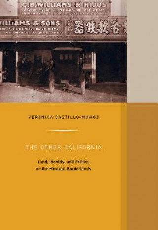 Βιβλίο Other California Veronica Castillo-Munoz