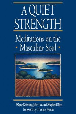 Kniha Quiet Strength WAYNE KRITSBERG
