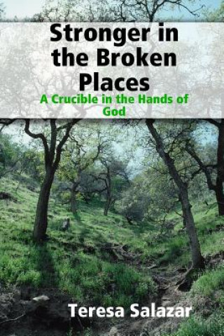 Книга Stronger in the Broken Places Teresa Salazar