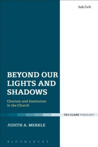 Knjiga Beyond Our Lights and Shadows Judith A. Merkle