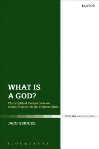 Kniha What is a God? GERICKE JACO