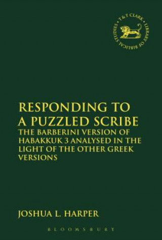 Book Responding to a Puzzled Scribe Harper