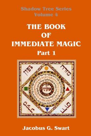 Knjiga Book of Immediate Magic - Part 1 Jacobus G Swart