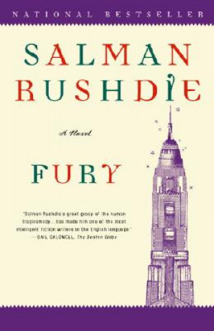 Книга Fury Salman Rushdie